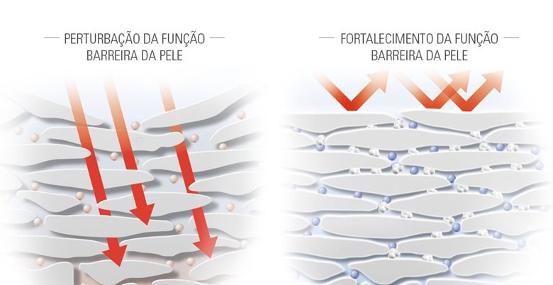 Ilustração que mostra os efeitos de fortalecimento do Dexpanthenol sobre a barreira da pele